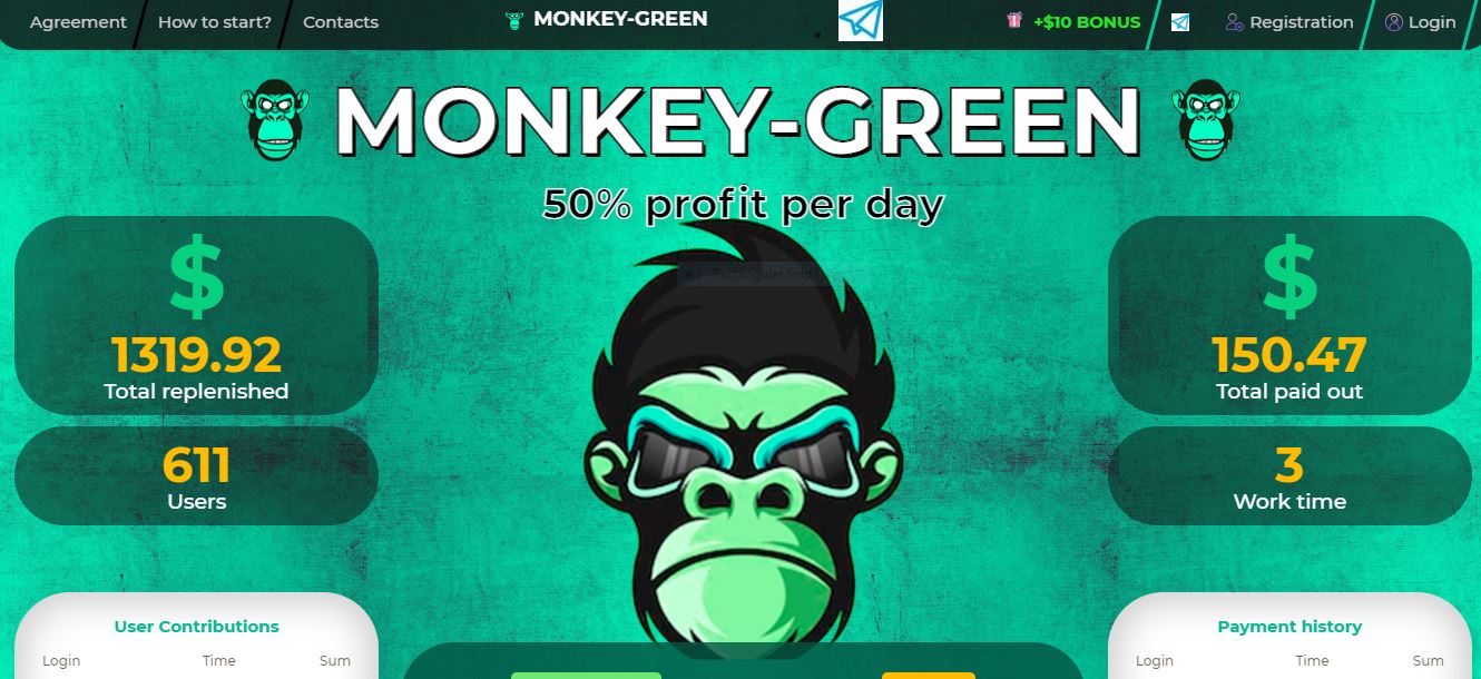 monkey.JPG