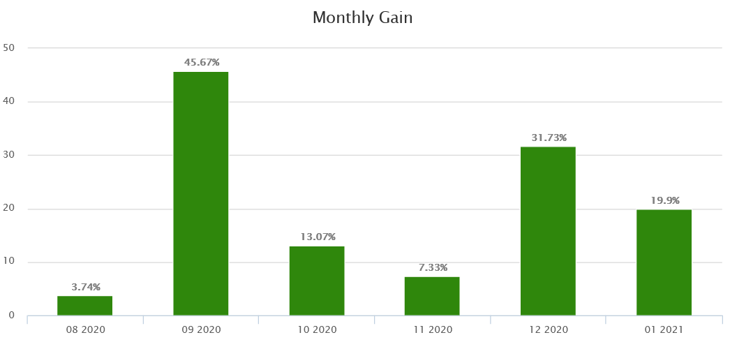 monthly returns.png