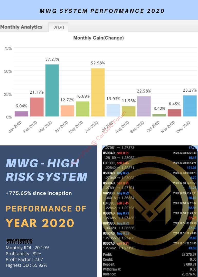 MWG-High Risk 2020.jpg