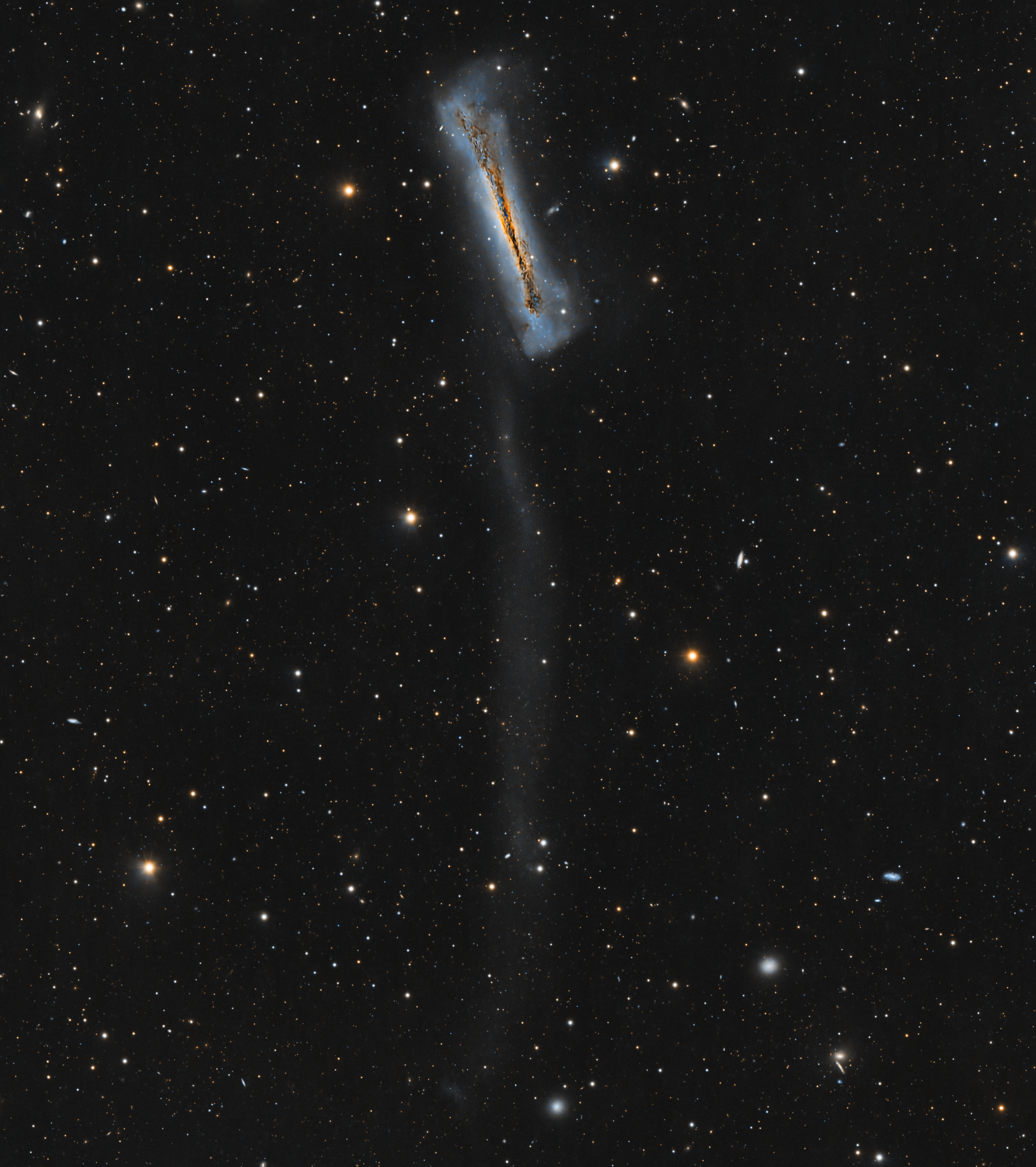 NGC_3628.png