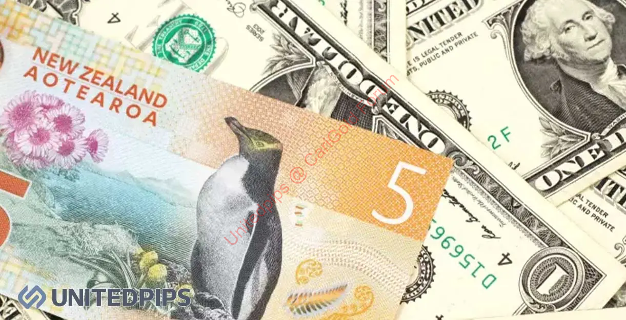 NZDUSD-Daily-Analysis-03.11.2026.featured-image.webp