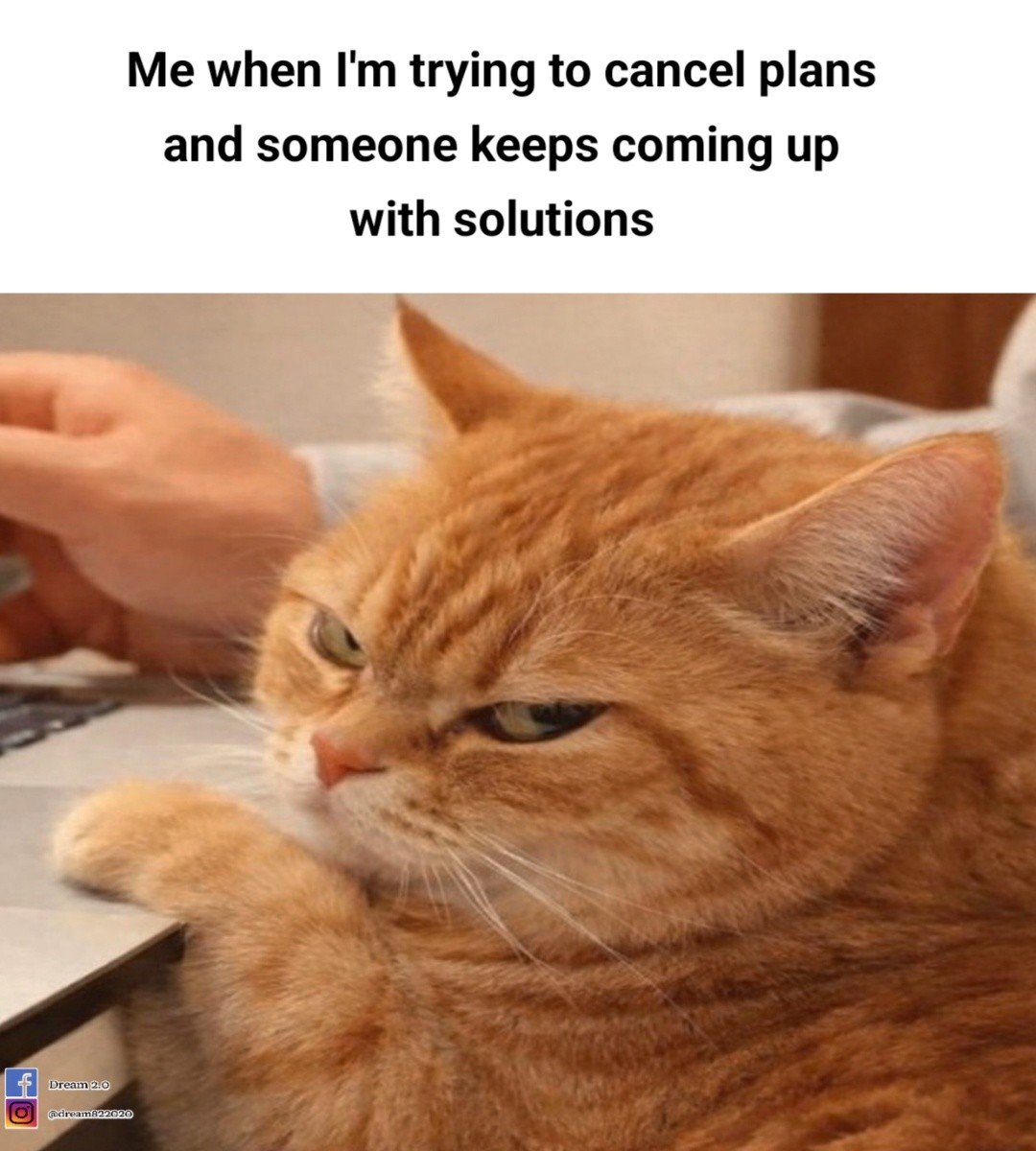 oyen sol.jpg