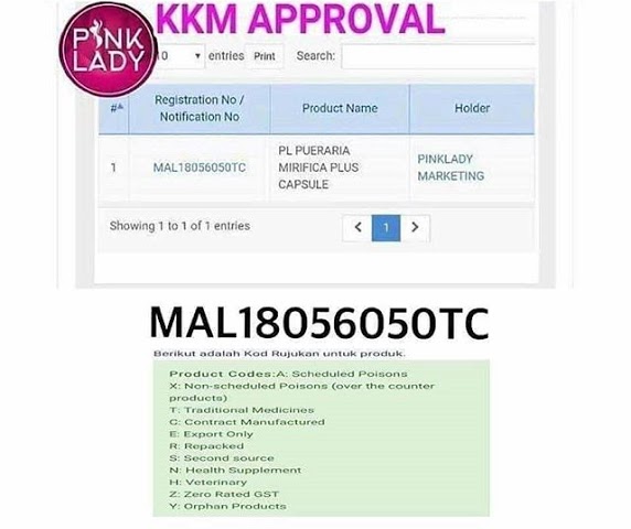 pinklady-kkm.jpg
