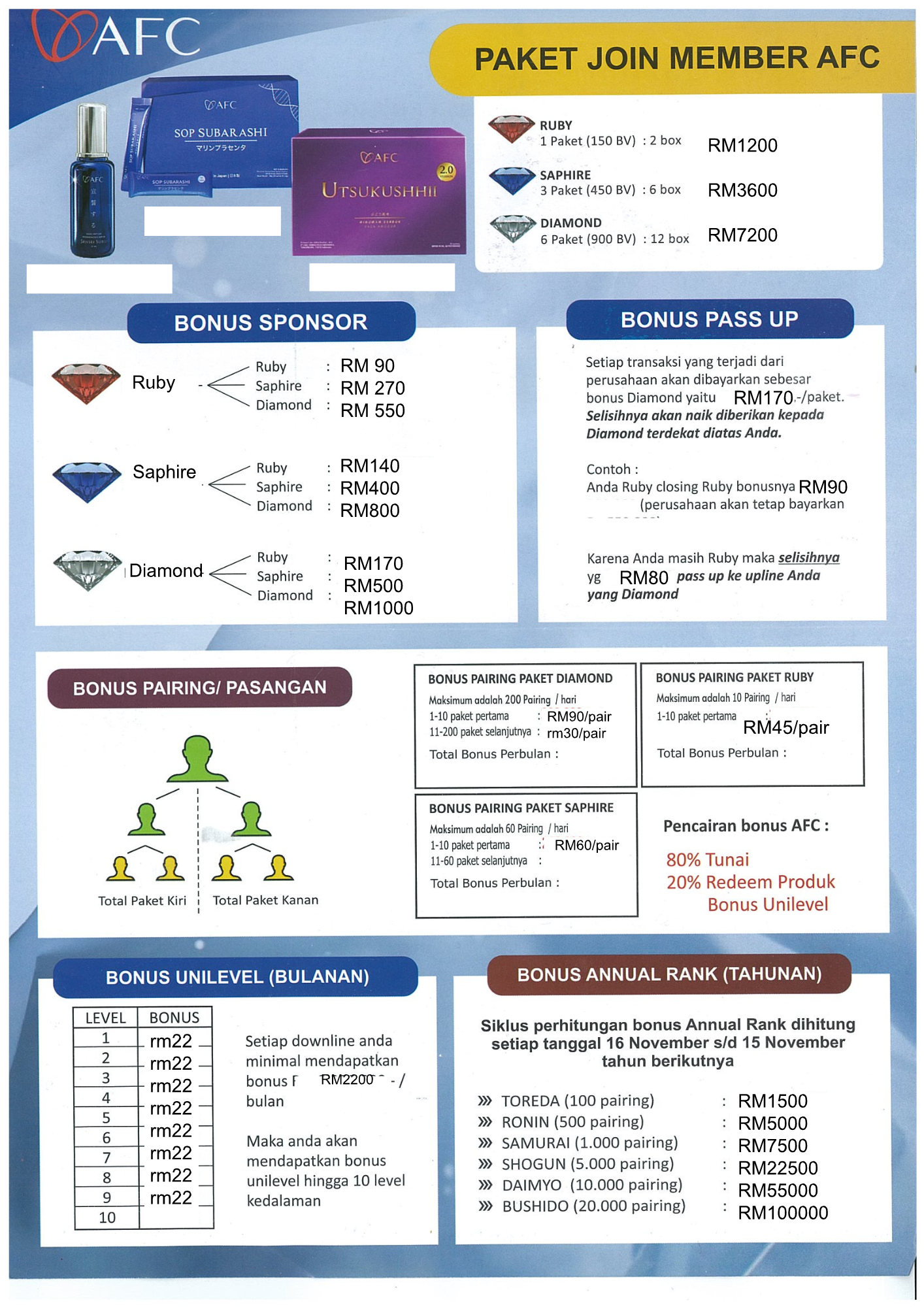 PlanAFC2.pdf.png