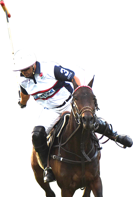 polo.png