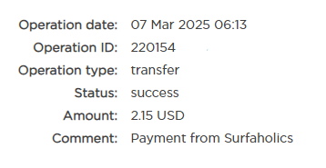 Surfaholics07.png