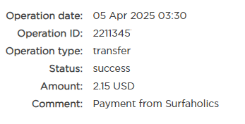 Surfaholics11.png