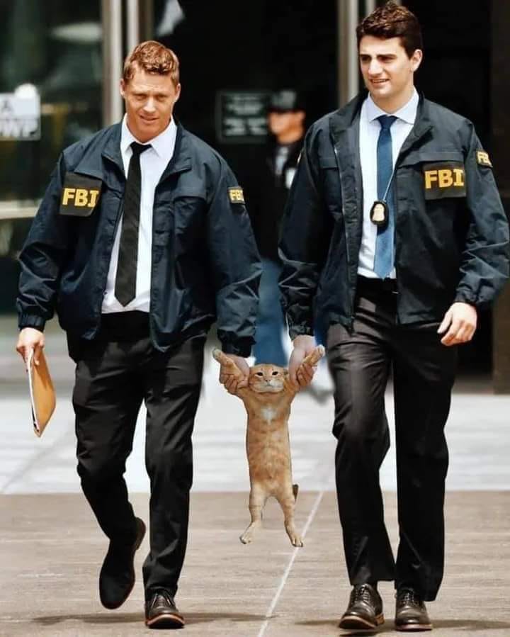 They caught him stealing sardines.jpg