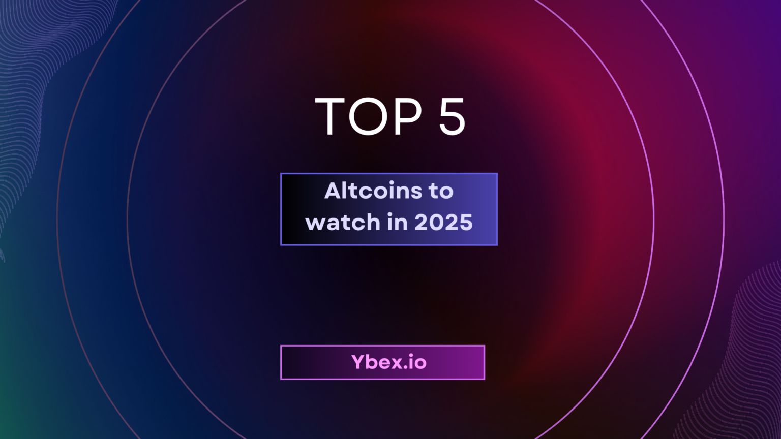 top5 en.png