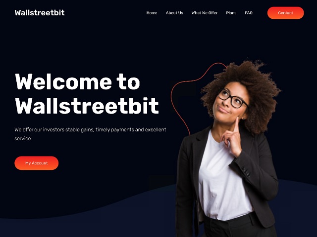 wallstreetbit.ltd_640.jpg