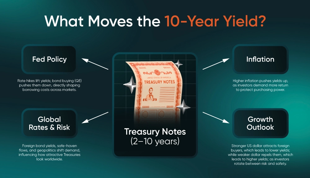 What-Moves-the-10-Year-Yield.webp