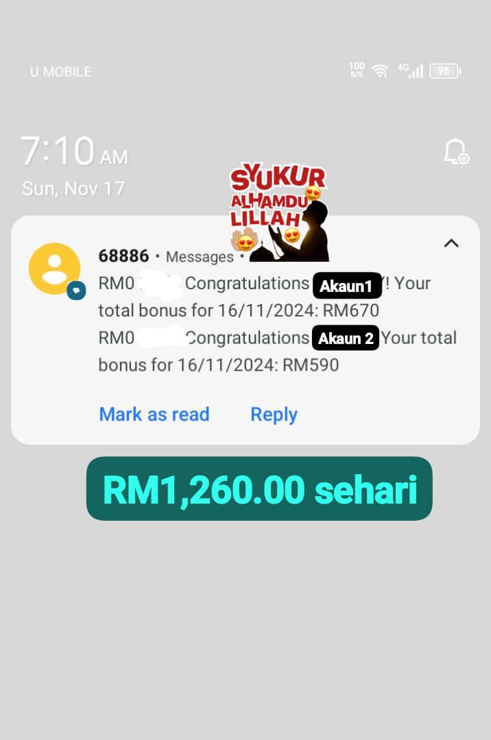 WhatsApp Image 2024-11-17 at 08.55.44.jpeg