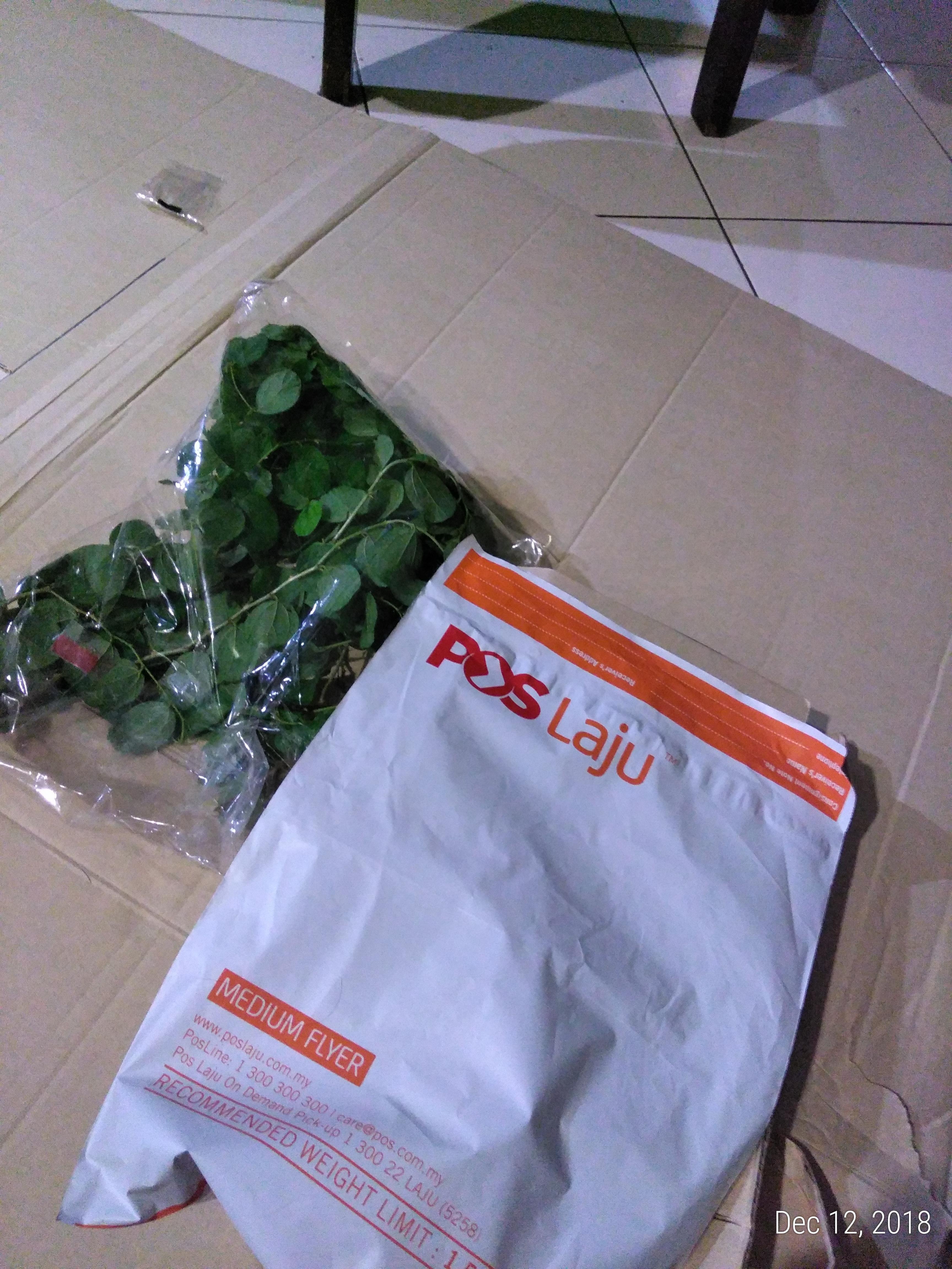 attachment.php
